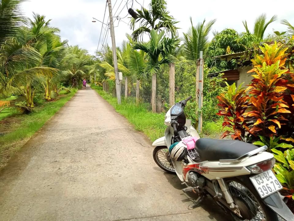 Bán Đất Vườn Tiền Giang 1750m² - 950 Triệu/Công - Sẵn Sổ Hồng