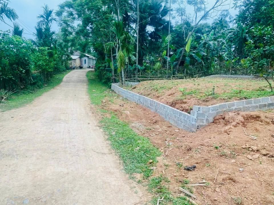 Bán đất nền 1277m² Lạc Sơn, Hoà Bình - Sổ hồng sẵn, đường bê tông