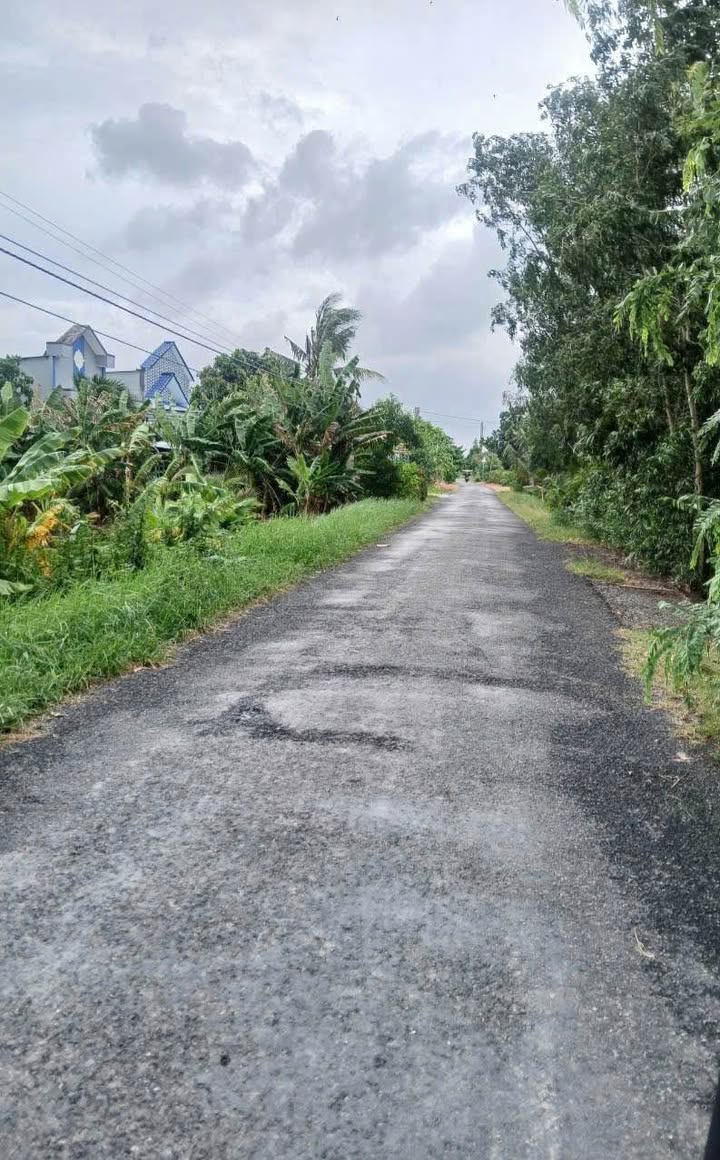 Đất nền Xã Mỹ Tân, Cao Lãnh 3926m² – Sổ đỏ chính chủ, giá tốt!