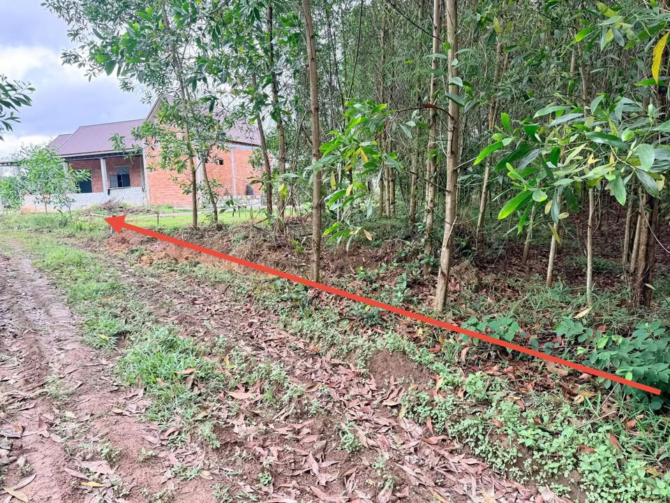 Đất Nền Phong An, Thừa Thiên Huế - 640m² Sổ Hồng Sẵn, Giá 109 Triệu