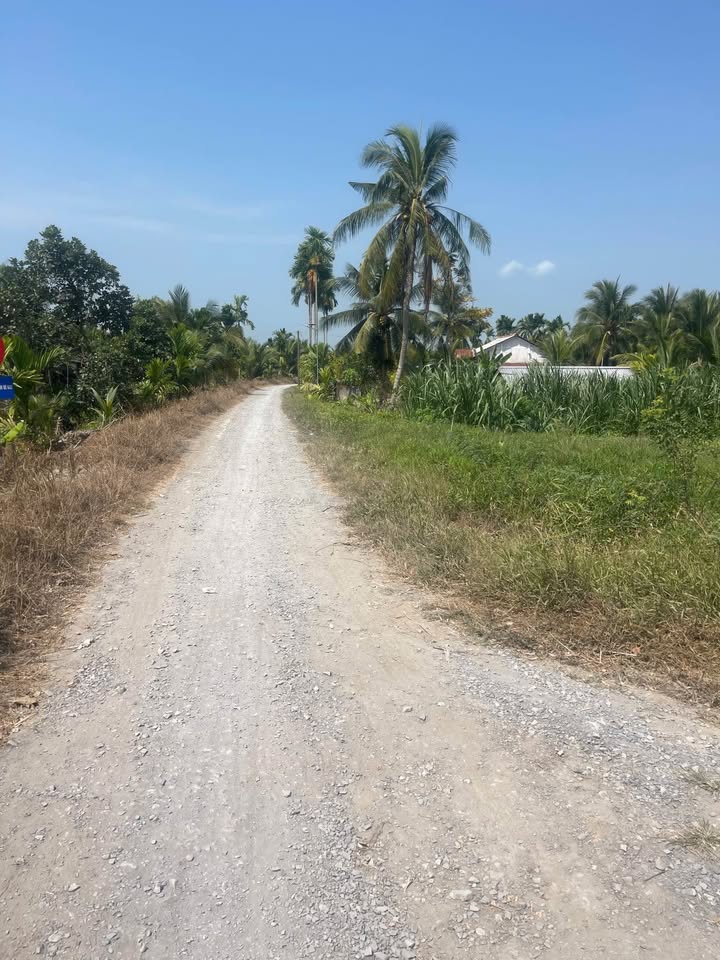 Đất Nền Vĩnh Long 113m² Hướng Nam - Gần KCN Hoà Phú - Giá 320 Triệu