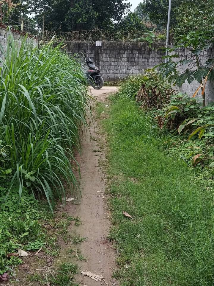 Bán Đất Nền Sài Sơn, Quốc Oai 400m² - Sẵn Sổ Hồng, Giá Đầu Tư Chỉ 3 Triệu/m²