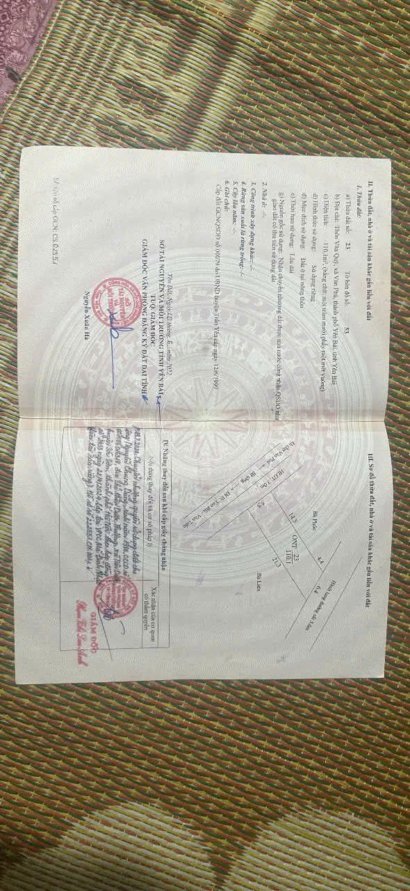 Đất nền Xã Văn Phú Yên Bái 110m² - Vị trí vàng, kinh doanh đắc địa!