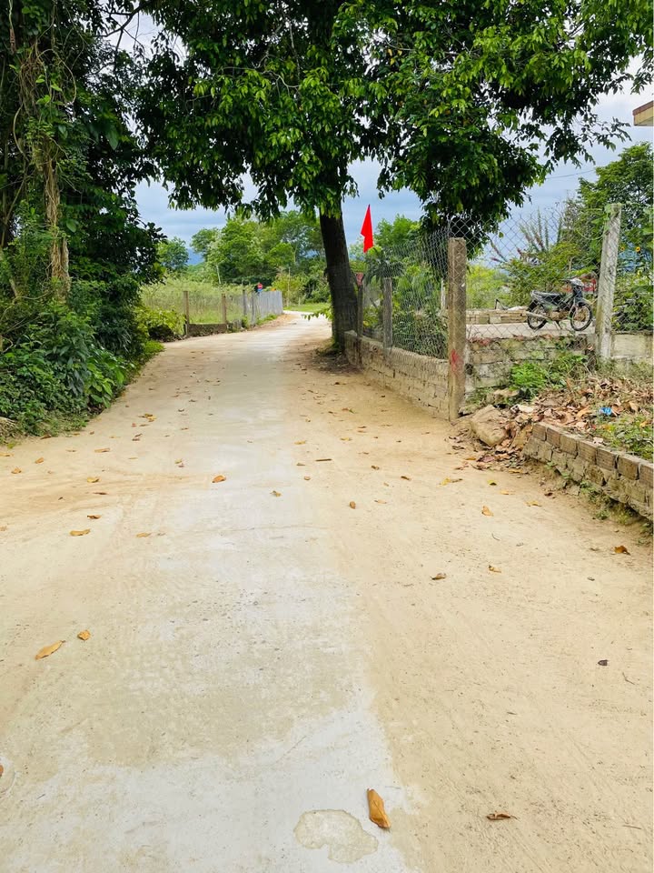 Đất Vườn Hòa Phong 280m² - View Sông Túy Loan, Giá 3 Tỷ