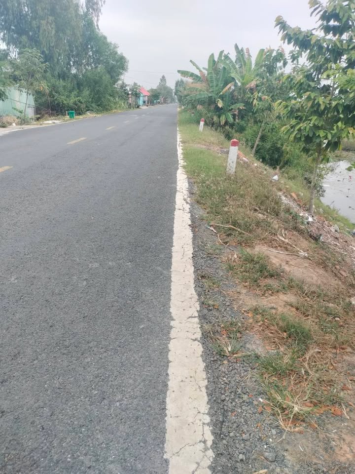 Bán Đất Vàng 8900m² Đồng Tháp - Sổ Hồng Chính Chủ, Giá Đầu Tư