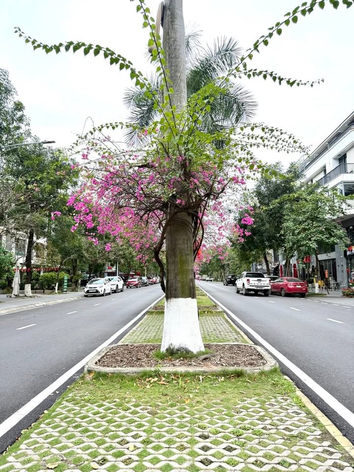 Townhouse Ecopark 88m² 1 tỷ - Đầu tư sinh lời