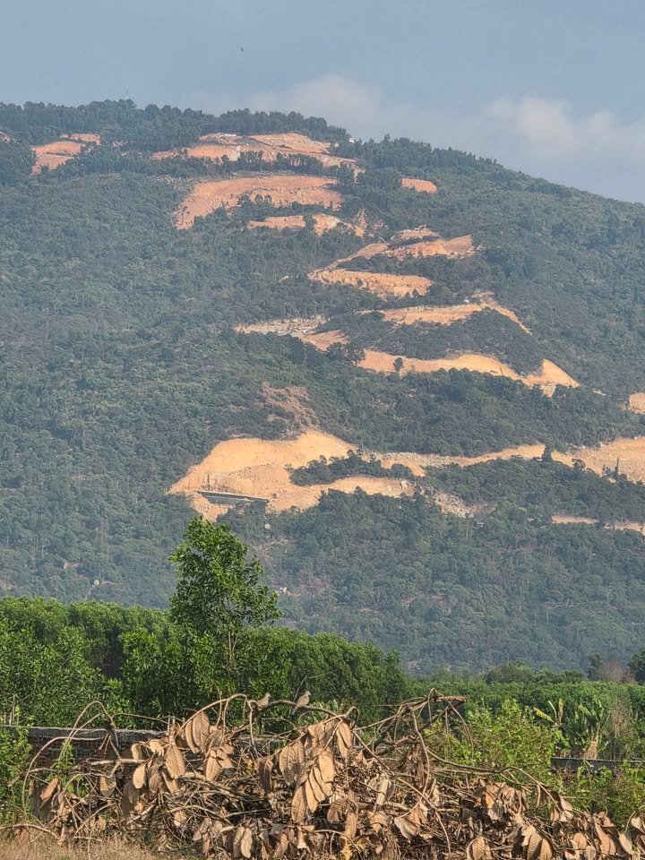 Đất Nền View Núi Xuân Lộc, Đồng Nai - Sổ Đỏ 193m² - Đầu Tư Tiềm Năng