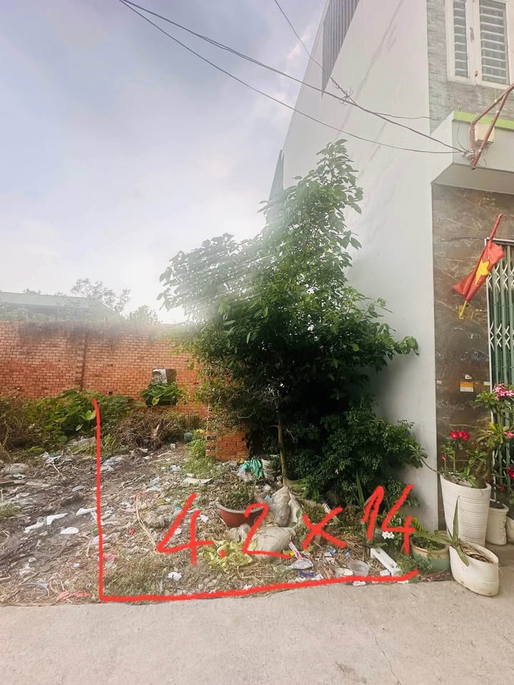 Đất nền An Phú Đông Q12 59m² giá 3.15 tỷ - Pháp lý rõ ràng!