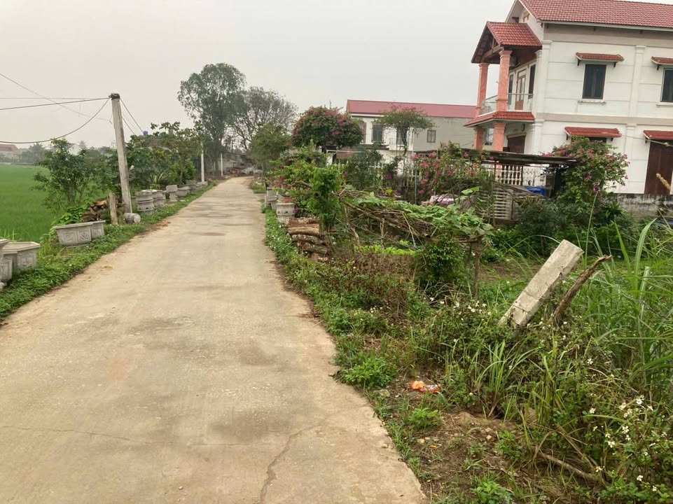 Đất Nền Hậu Lộc 168m² Giá 7xx Triệu - Sổ Đỏ Sẵn Sàng