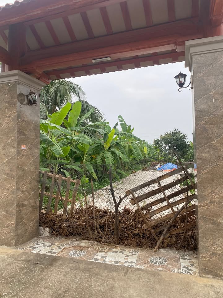 Đất nền Xuân Phú, Hậu Lộc 389m² - Đường ô tô 5m, 100m thổ cư!