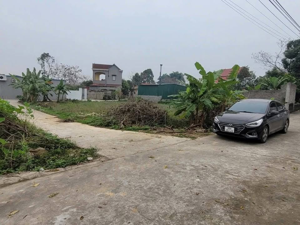 Đất nền Tân Sơn, Lục Ngạn 200m² - Tiềm năng tăng giá vượt trội!