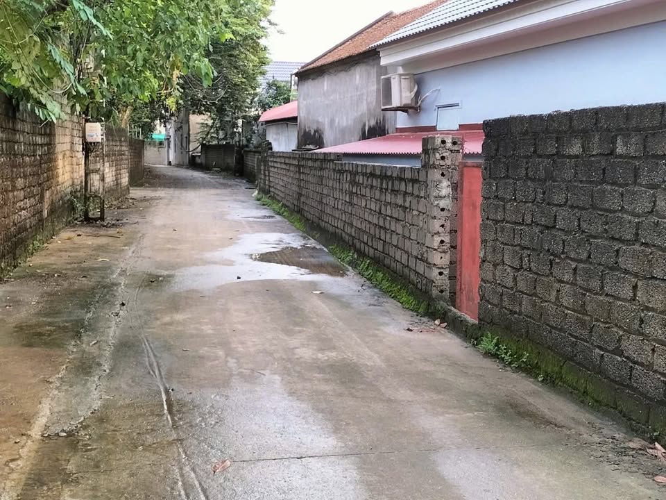 Đất Nền Hiệp Hòa 201m² - Thị trấn Thắng, Tiềm Năng Tăng Giá Vượt Trội!