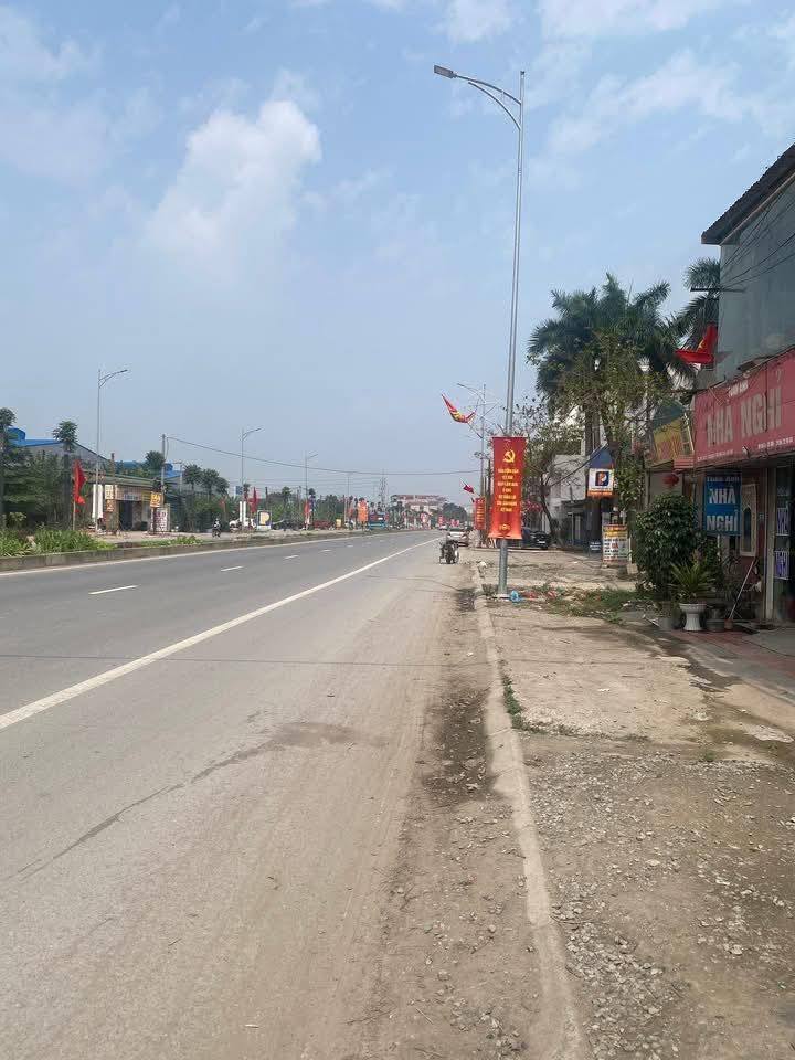 Đất Vàng Quốc Lộ 21B, Thanh Oai 256m² - Đầu Tư Sinh Lời Khủng