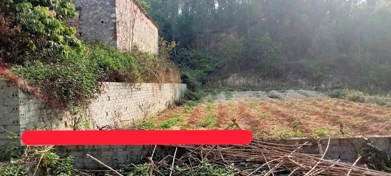 Đất nền Quế Võ 180.5m² – Đường to ô tô, tiềm năng tăng giá!