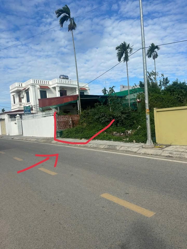 Đất nền Hoa Động Thủy Nguyên 113m² - Kinh doanh sầm uất, đường ô tô 7m!