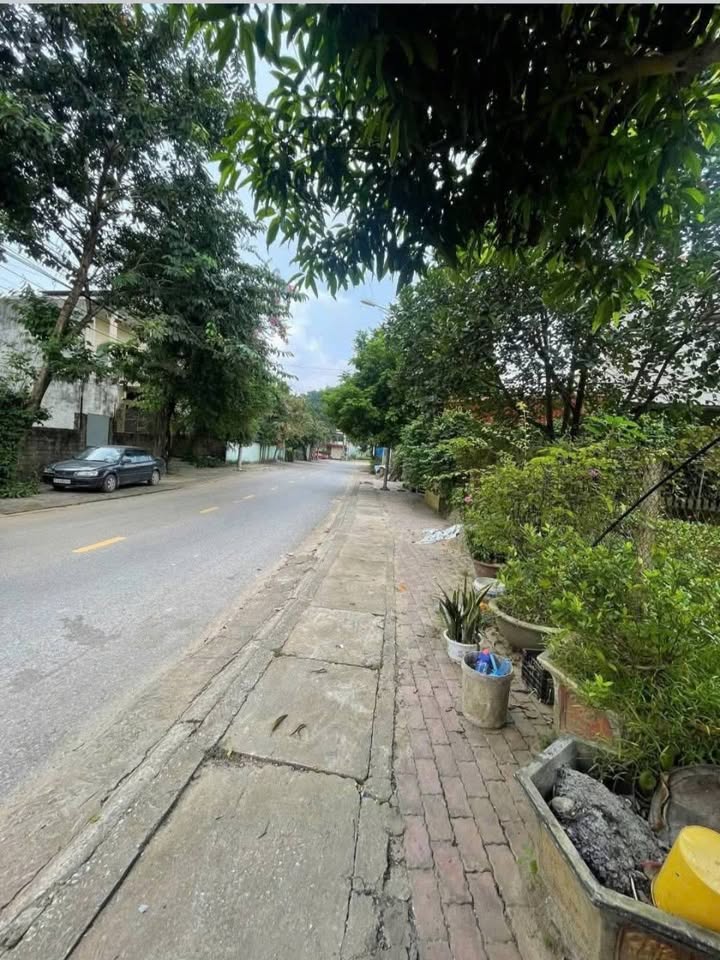 Bán Đất 100m² Đường Bảo Lương, Yên Bái - Hướng Nam, Sổ Đỏ ODT