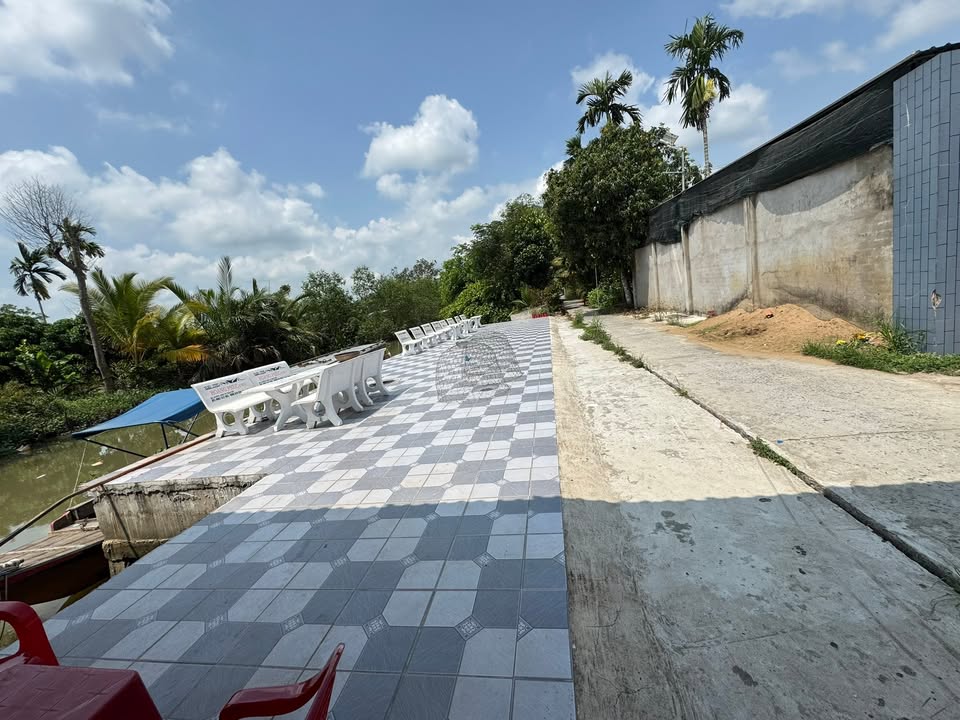 Bán Đất Vườn 2422m² Hậu Giang - Mặt Tiền Lộ Bê Tông, Sổ Hồng Riêng