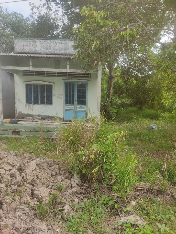 Bán Gấp Đất Nền 900m² Phong Điền, Cần Thơ - Giá 1.2 Tỷ, Sổ Hồng Sẵn Sàng