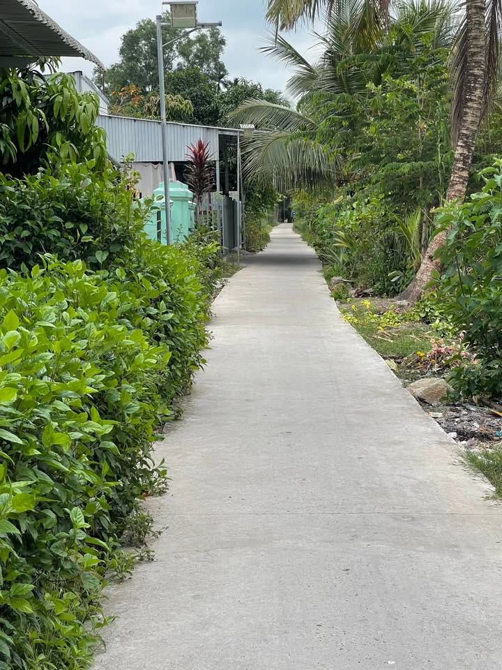 Đất Nền Thới Lai, Cần Thơ - 317m² Giá 400 Triệu, Sẵn Sổ CLN