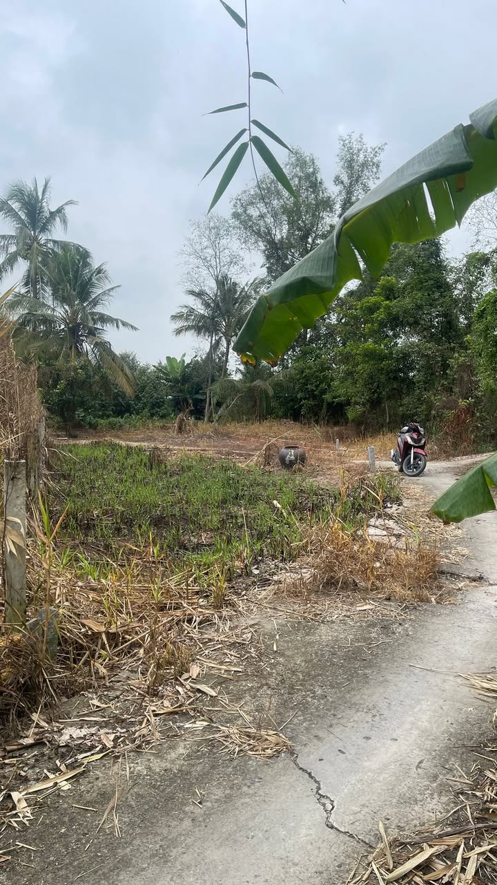 Đất nền Ô Môn Cần Thơ 326m² - Sổ đỏ chính chủ, giá hấp dẫn!