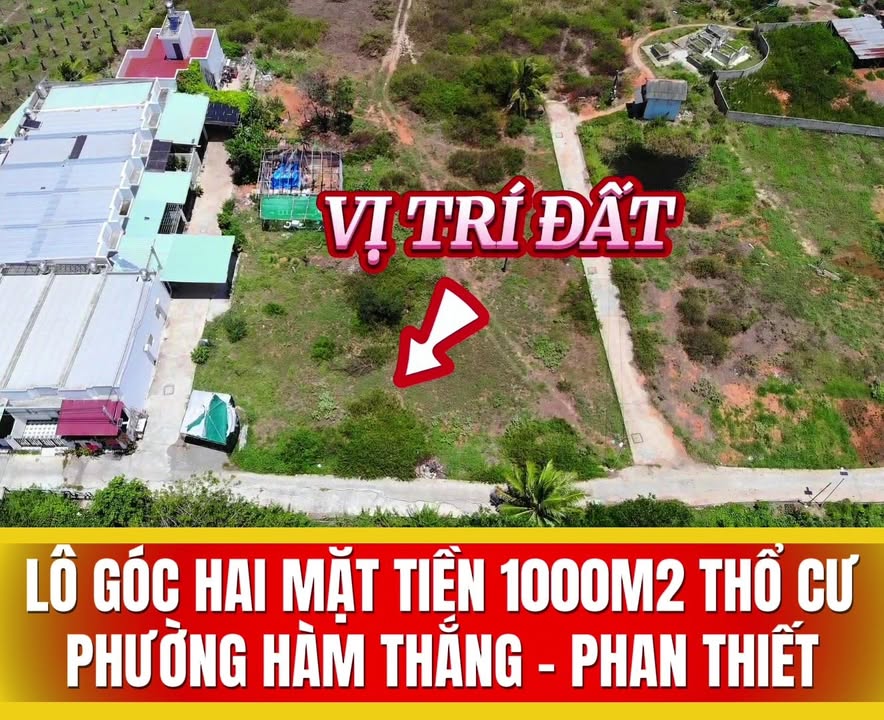 Đất Thổ Cư 1000m² Mặt Tiền Suối, Sổ Hồng Riêng - Đầu Tư Sinh Lời Cao
