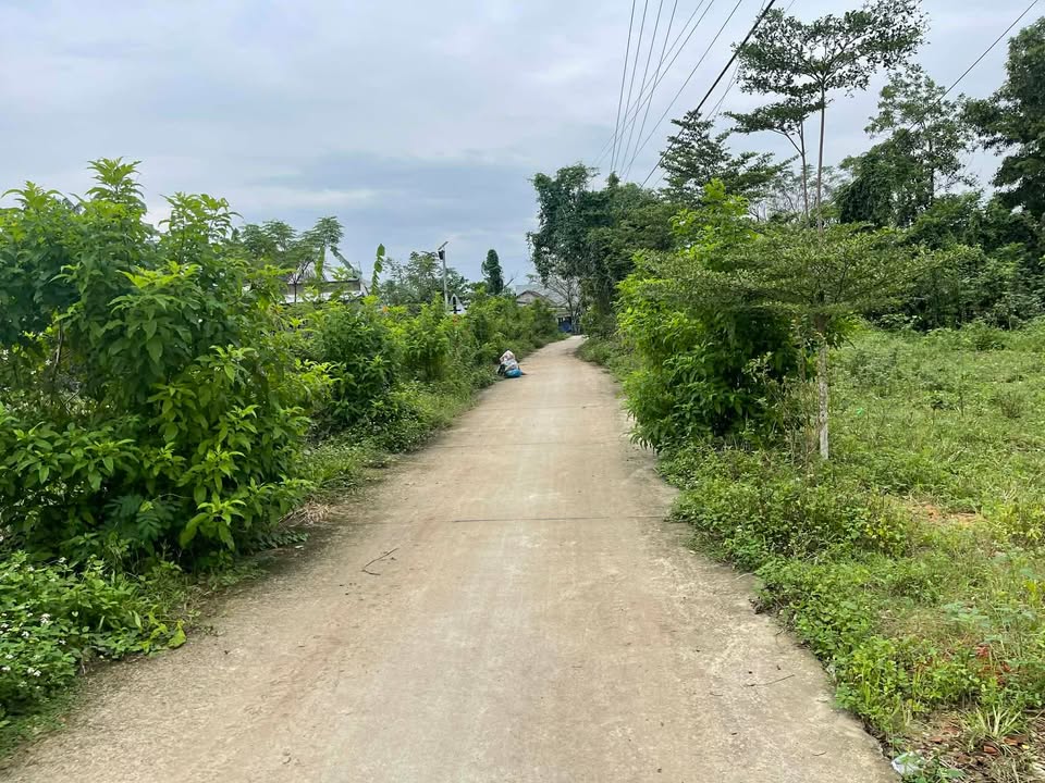 Đất Nền Đà Nẵng - 130m² Sổ Hồng Mới, Mặt Tiền Đường 4m Ô Tô - Giá 1.3 Tỷ