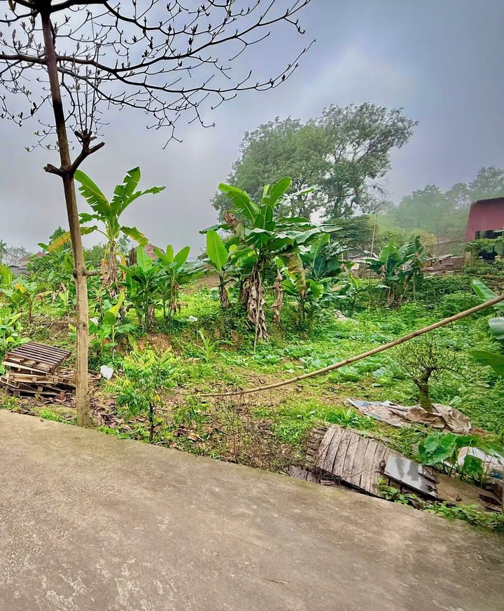 Đất nền Tích Lương 135m² hơn 1 tỷ - Đất thổ cư 100%!