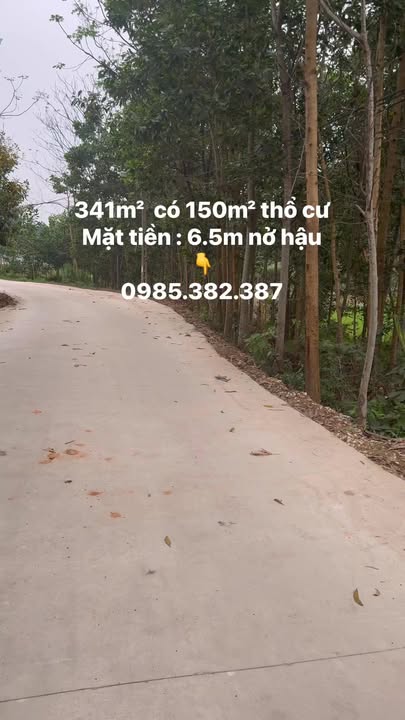 Đất nền Lương Sơn, Đồng Hỷ 341m² - Sổ đỏ chính chủ, giá tốt!