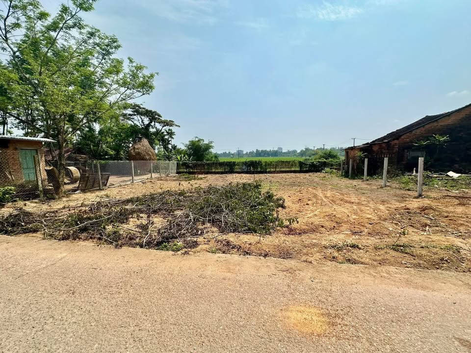 Đất Vàng Tam Kỳ - 147m² Sổ Đỏ Thổ Cư, Cách TT 500m