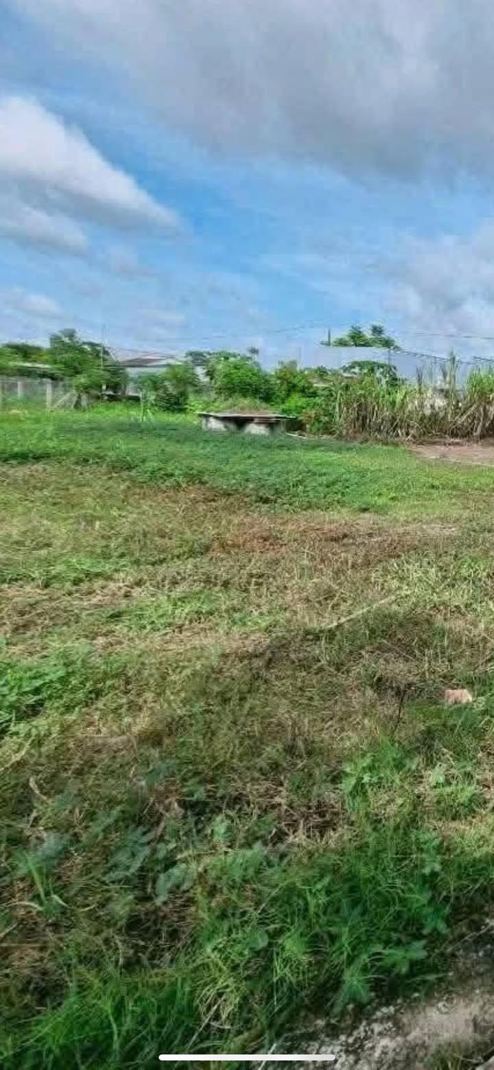 Đất nền Gò Công Đông 192m² - Sổ đỏ chính chủ, đường ô tô!