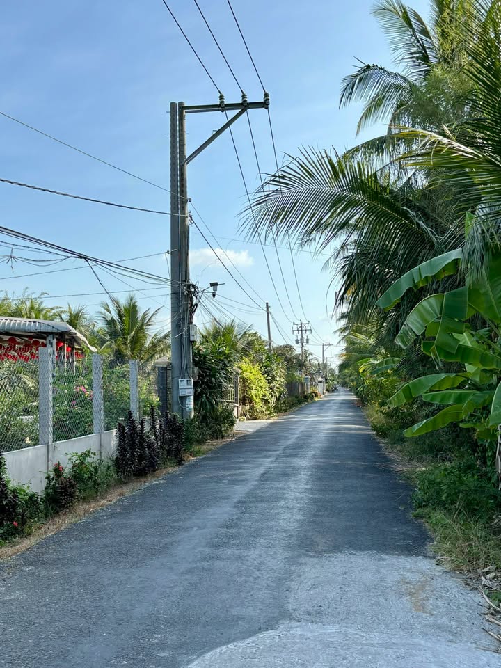 Bán Đất Long Định Châu Thành TG 145m² Thổ Cư - Lộ Nhựa Oto