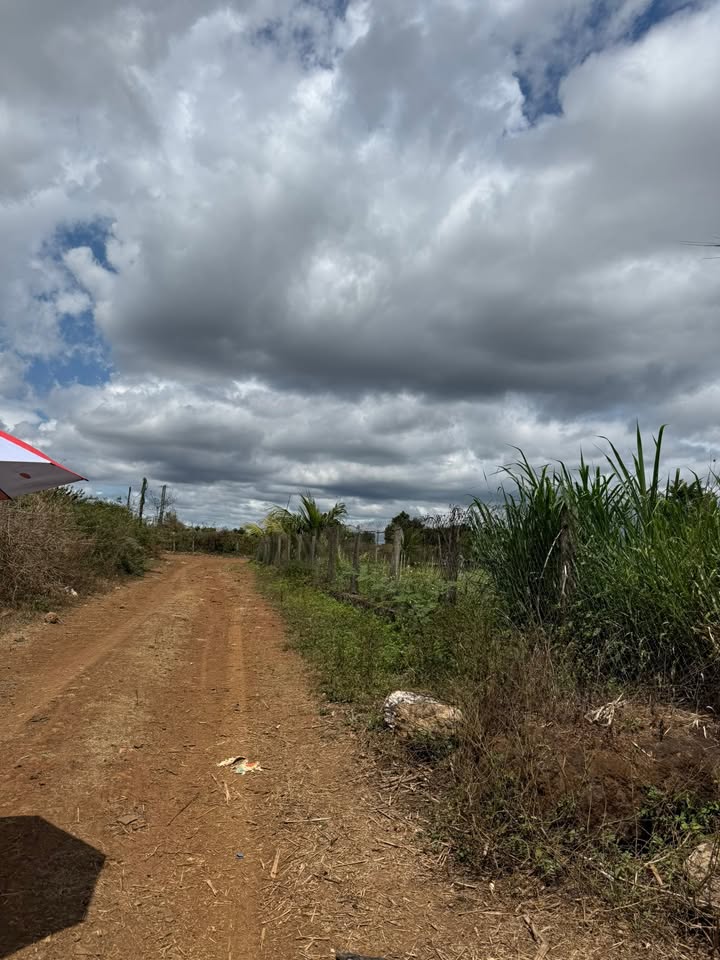 Đất Nông Nghiệp 1000m² Trà Đa, Pleiku - Pháp Lý Rõ Ràng