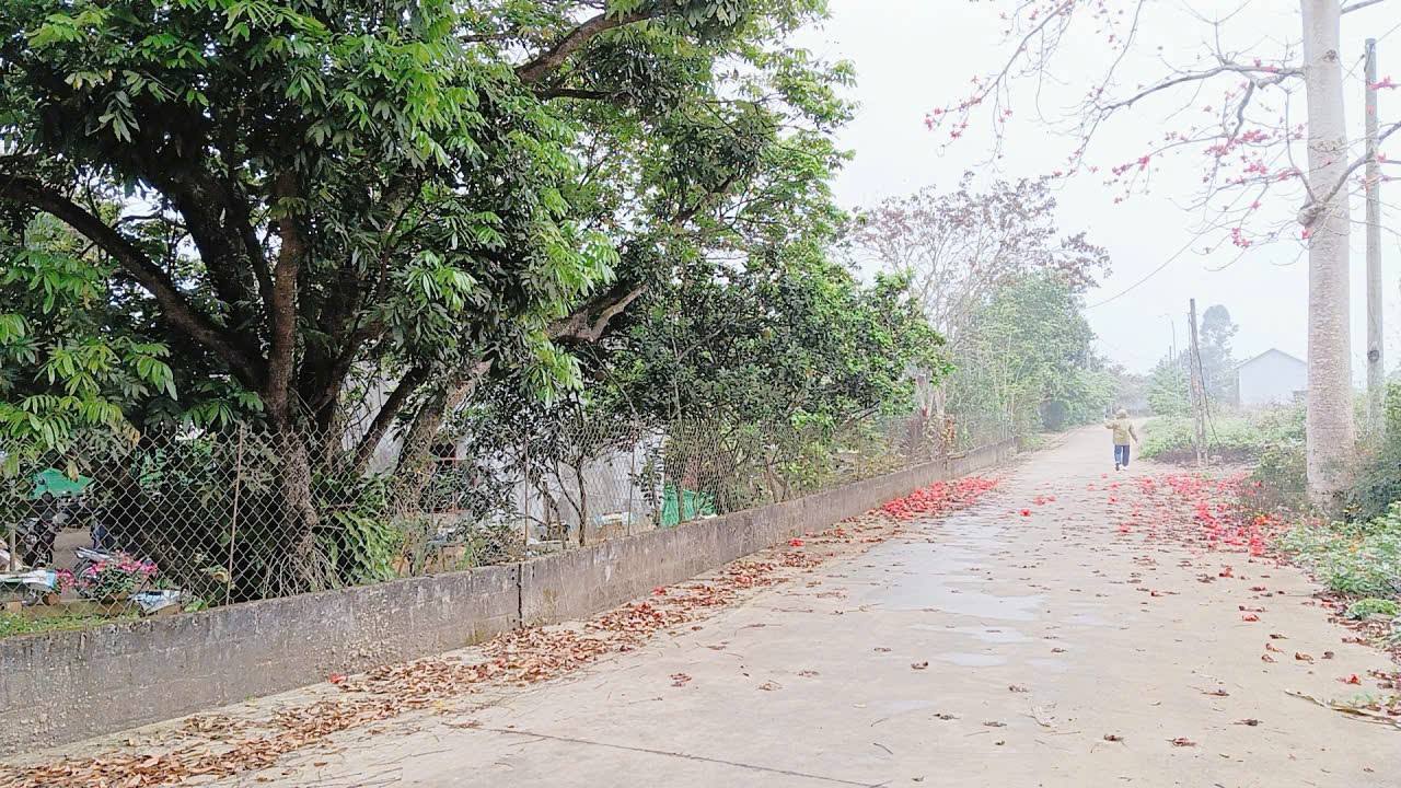 Đất Mặt Đường 200m² Cao Phong, Hòa Bình - Giá 1 Tỷ, Sẵn Sàng Đầu Tư