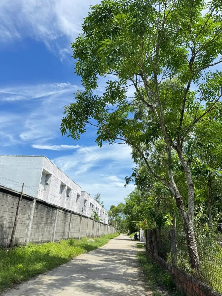 Đất nền Hòa Hương, Tam Kỳ 100m² - Pháp lý rõ ràng!