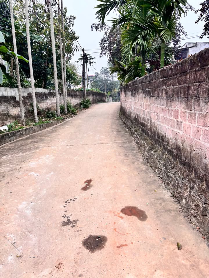 Đất nền Hoàng Su Phì 100m² - Sát chợ Hoàng Khai, Giá 730 triệu