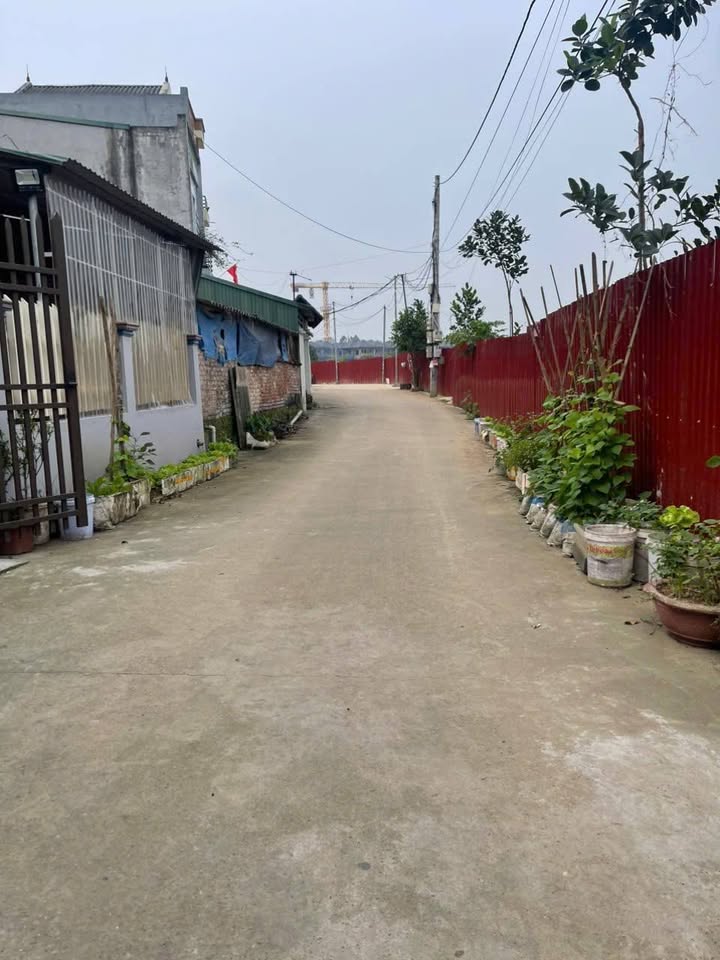 Bán Gấp Đất Nền 110m² Phố Lang Liêu, Việt Trì - Tiềm Năng Sinh Lời Cao