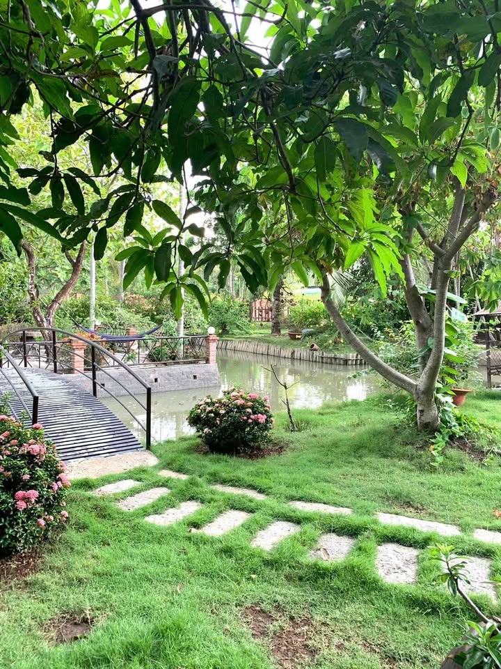 Đất nền Long Phước Thủ Đức 3162m² - Sổ đỏ chính chủ, view sông cực đẹp!