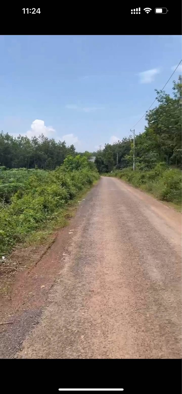 Bán Gấp 3600m² Đất Mặt Tiền Đồng Phú, Bình Phước - Giá 800 Triệu