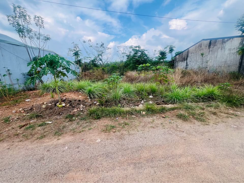 Đất nền Tân Thiện Đồng Xoài 132m² - Pháp lý rõ ràng!