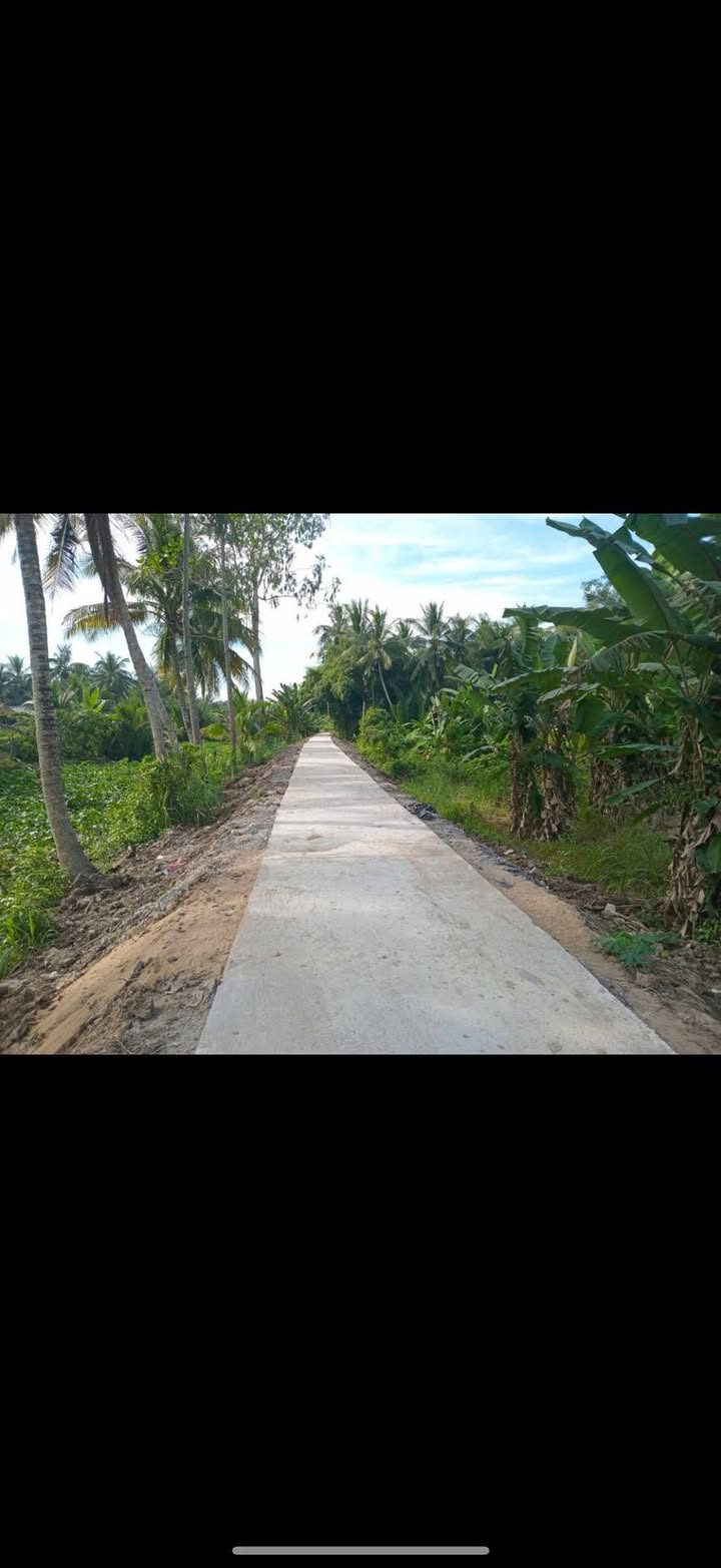 Bán Gấp 2 Nền Liền Kề Vũng Liêm Vĩnh Long - 130m² Sổ Sẵn