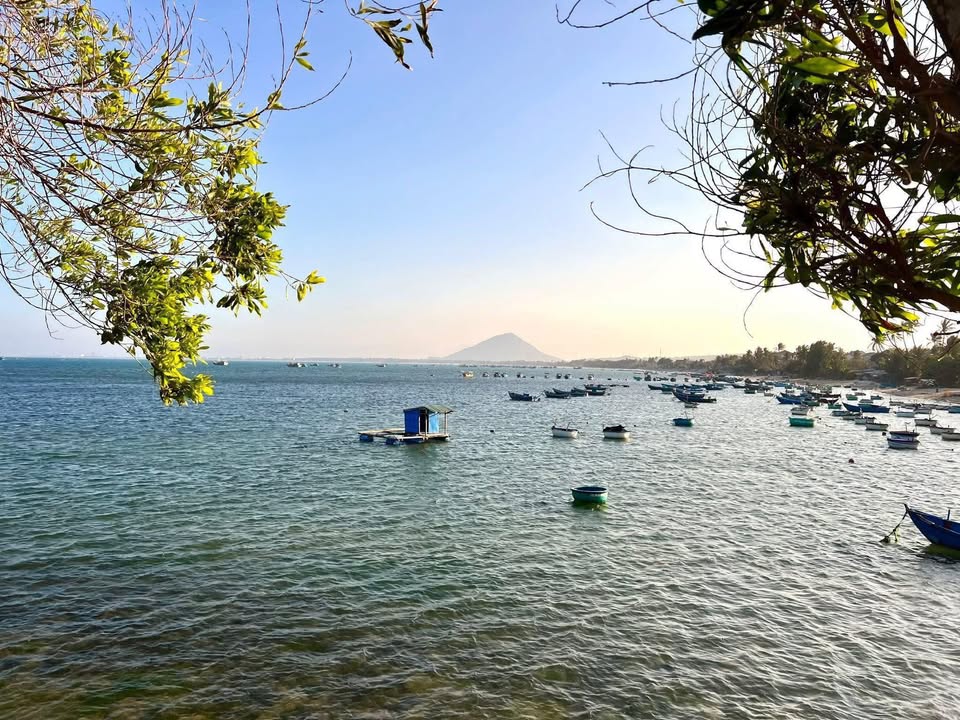 Đất 496m² mặt tiền 23m, có nhà cấp 4, An Chấn, Phú Yên - Giá 3.9 tỷ