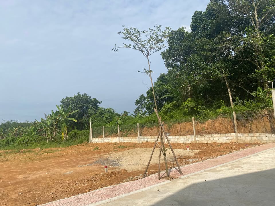 Đất nền Hòa Vang 120m² - Sổ đỏ sẵn, giá chỉ từ 1.2 tỷ - Đầu tư sinh lời