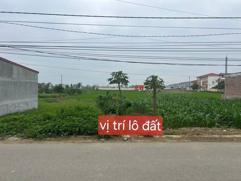 Đất nền Yên Thái, Yên Định, Thanh Hoá - 115m² Sổ đỏ, Hướng Đông Nam