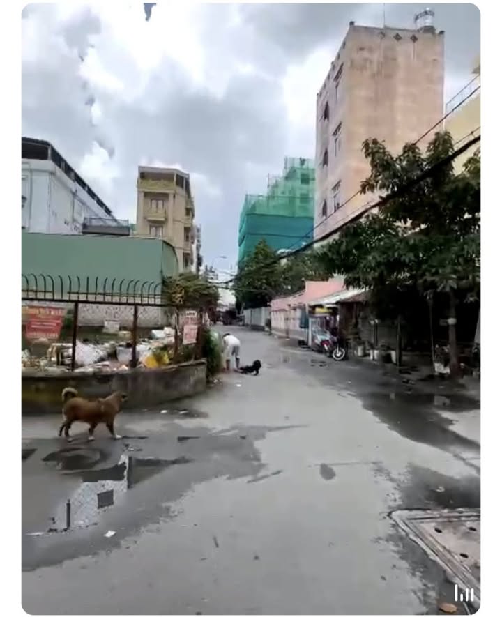 Lô Đất Góc P. Tân Hưng, Q7 249m² - Sổ hồng chính chủ