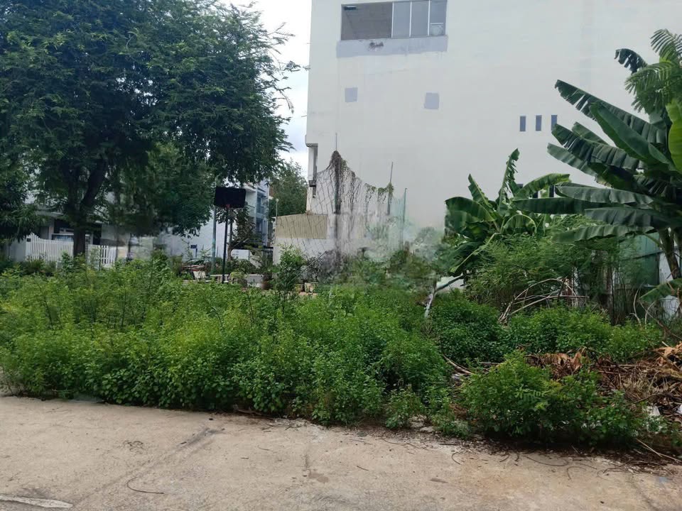 Bán Đất Lô Góc 138m² Mặt Tiền Lê Văn Lương, Nhà Bè - Giá 18.5 Tỷ