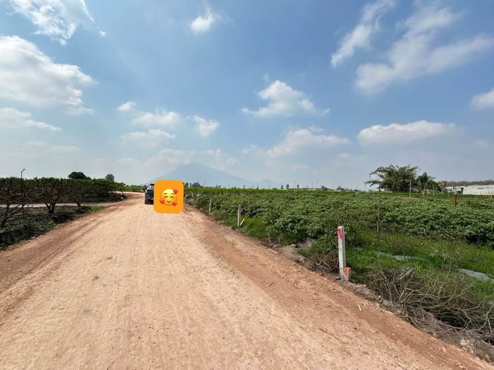 Đất nền Suối Đá, Dương Minh Châu 250m² - Pháp lý rõ ràng