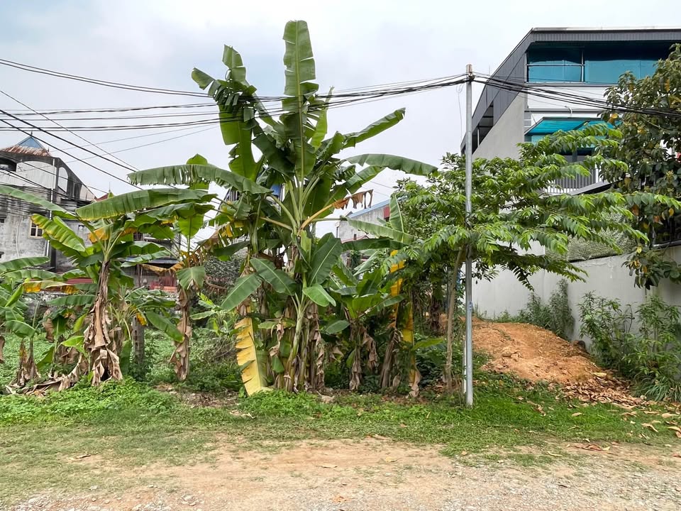 Đất Lô Góc 80m² Phường Chùa Hang, TP. Thái Nguyên - Giá Hơn 1 Tỷ