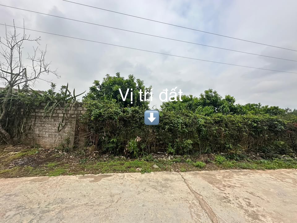 Đất Nền Phường Chũ - Bắc Giang 283.5m² - Mặt Tiền Rộng 10m, Gần QL31