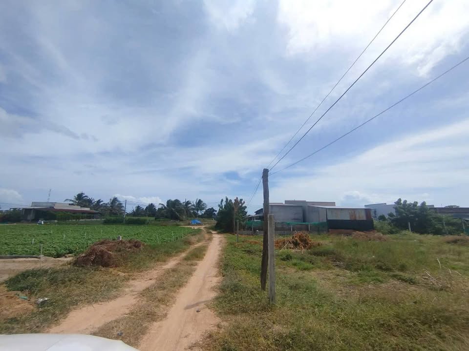 Bán Đất Vườn Ninh Thuận 1440m² - Sổ Hồng Chính Chủ, Giá Tốt