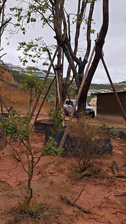 Đất Mặt Tiền Đường Bidoup Lạc Dương 1050m² - Giá Tốt 2 Tỷ